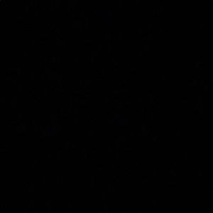 Meet your Posher, Eli